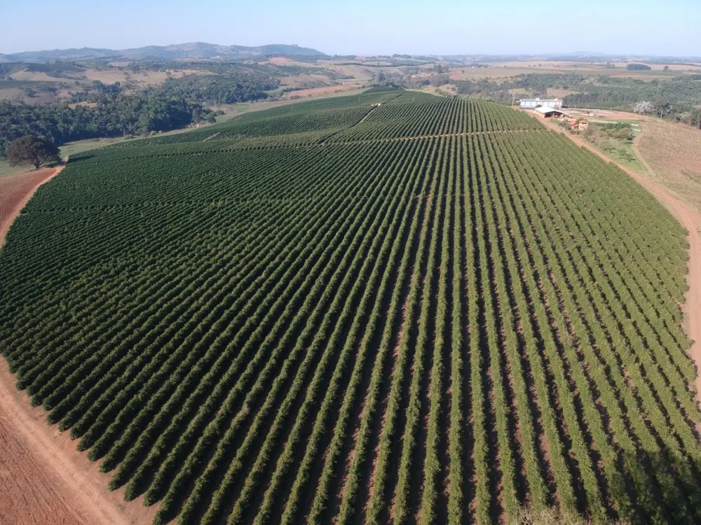Fazenda, 177 hectares - Foto 2