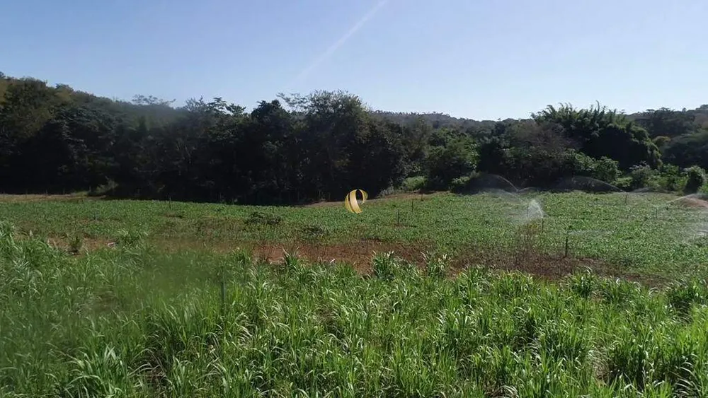 Fazenda, 70 hectares - Foto 11