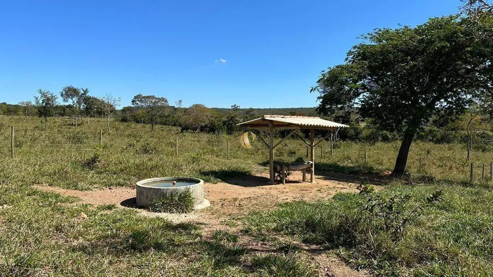 Fazenda, 70 hectares - Foto 8