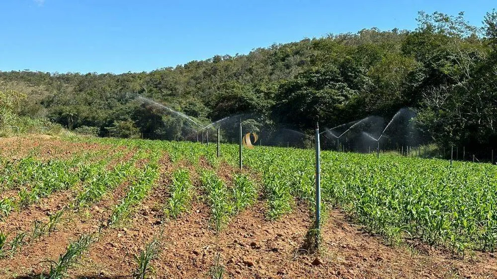Fazenda, 70 hectares - Foto 3
