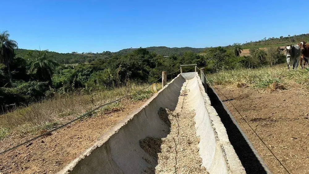 Fazenda, 70 hectares - Foto 7