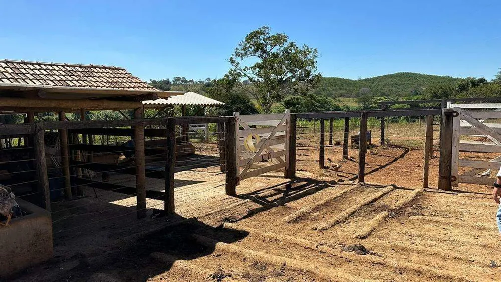 Fazenda, 70 hectares - Foto 6