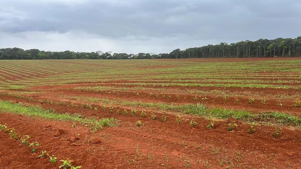 Fazenda, 730 m² - Foto 7