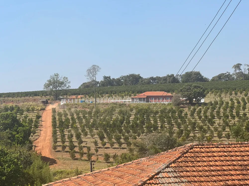 Fazenda, 730 m² - Foto 4