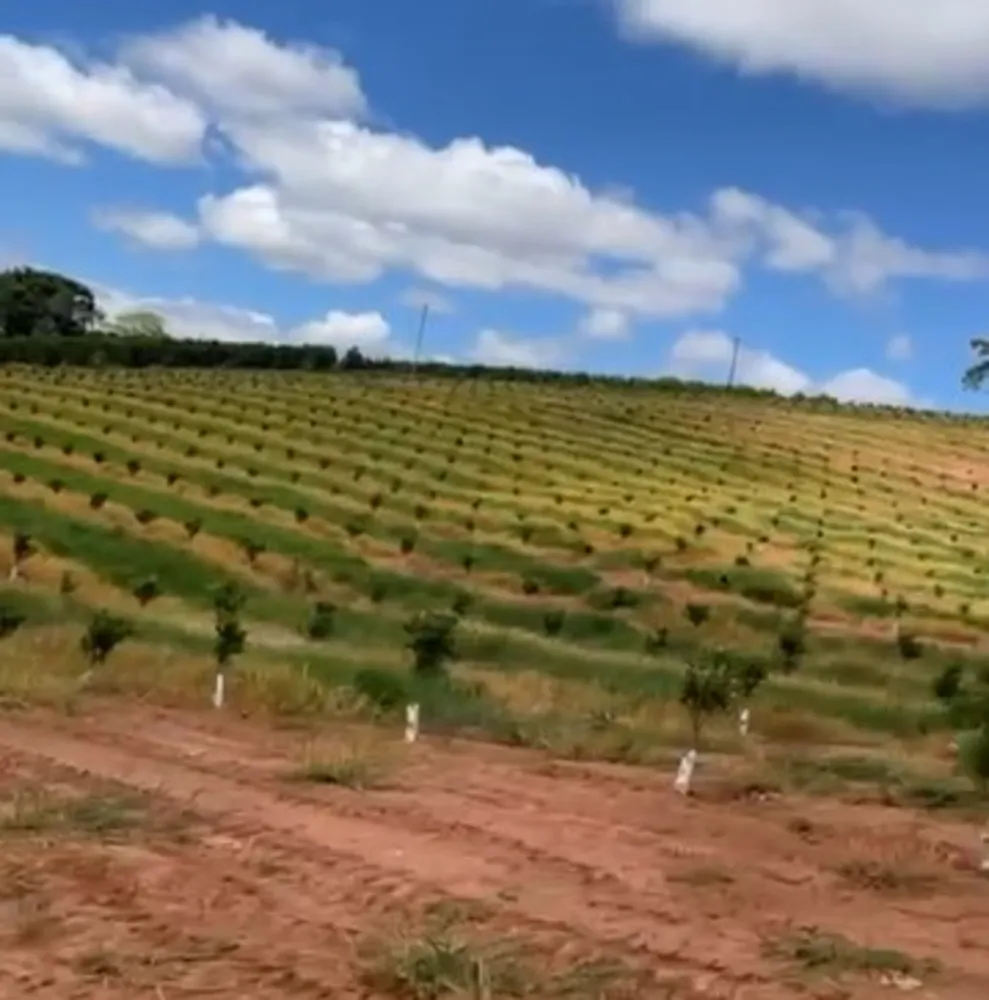Fazenda, 730 m² - Foto 18
