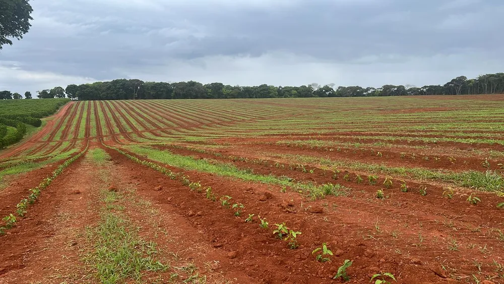 Fazenda, 730 m² - Foto 8