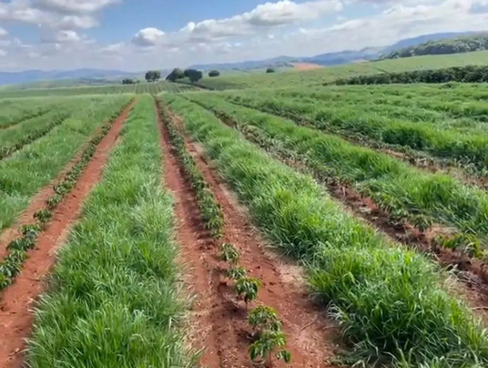Fazenda, 730 m² - Foto 12