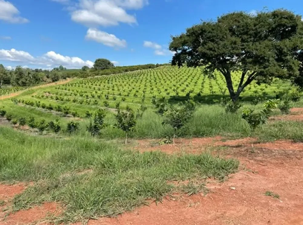 Fazenda, 730 m² - Foto 14
