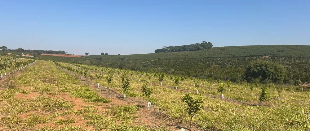 Fazenda, 730 m² - Foto 11