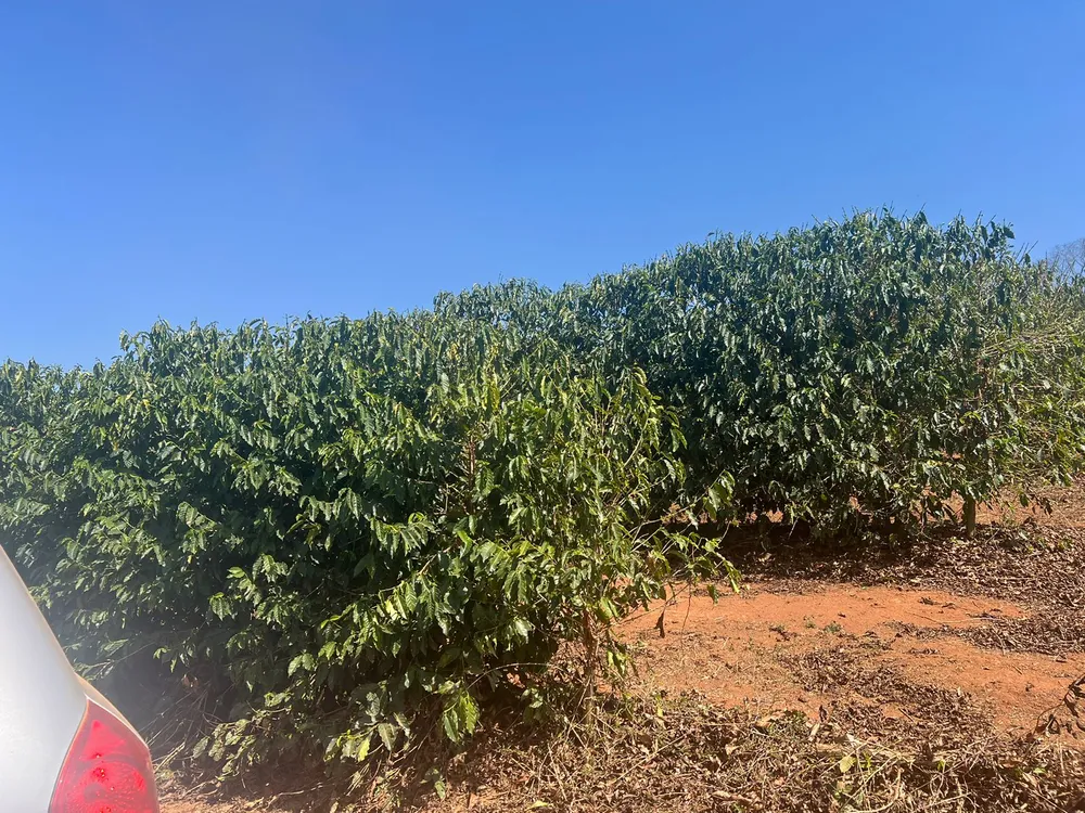 Fazenda, 730 m² - Foto 3