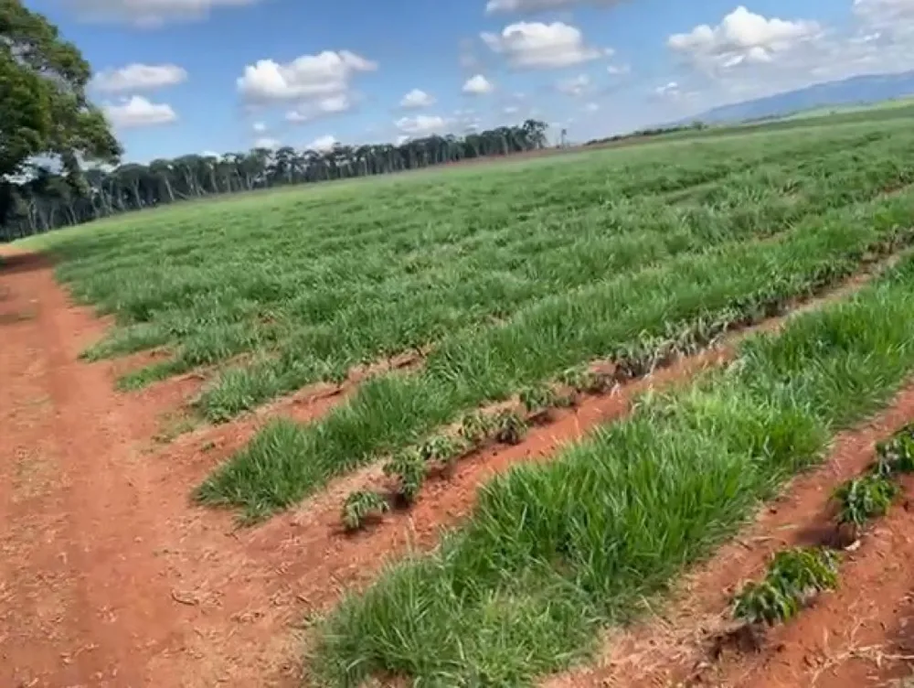 Fazenda, 730 m² - Foto 13
