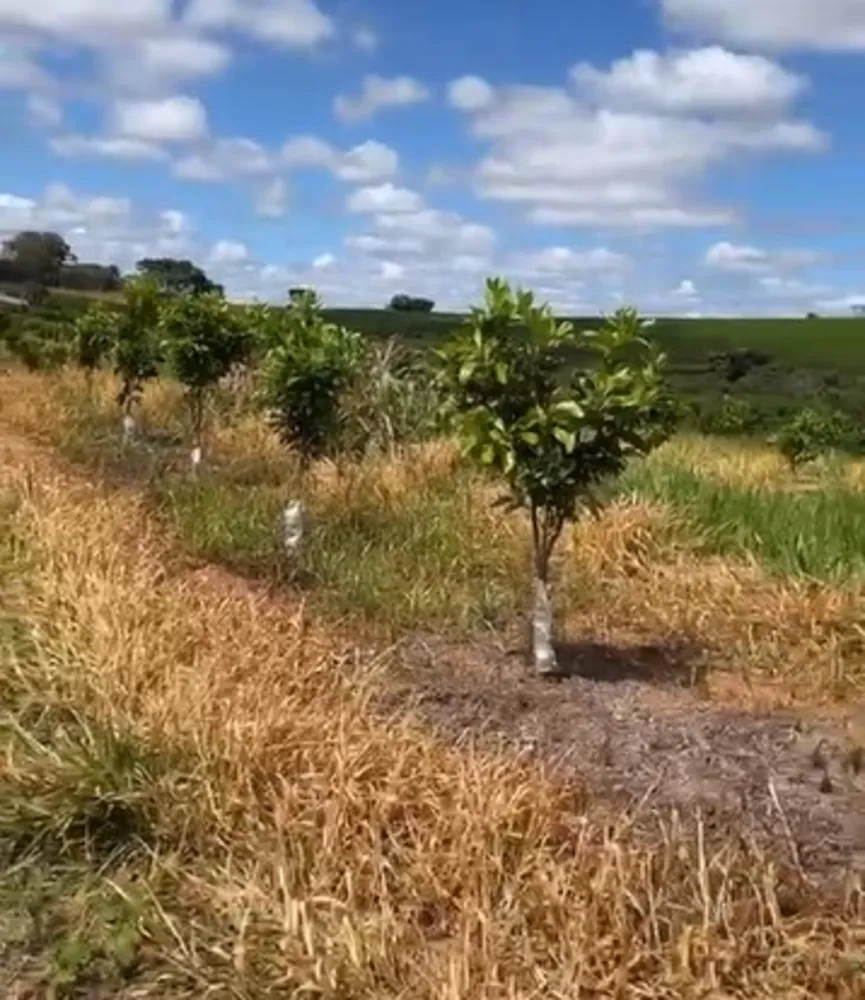Fazenda, 730 m² - Foto 20