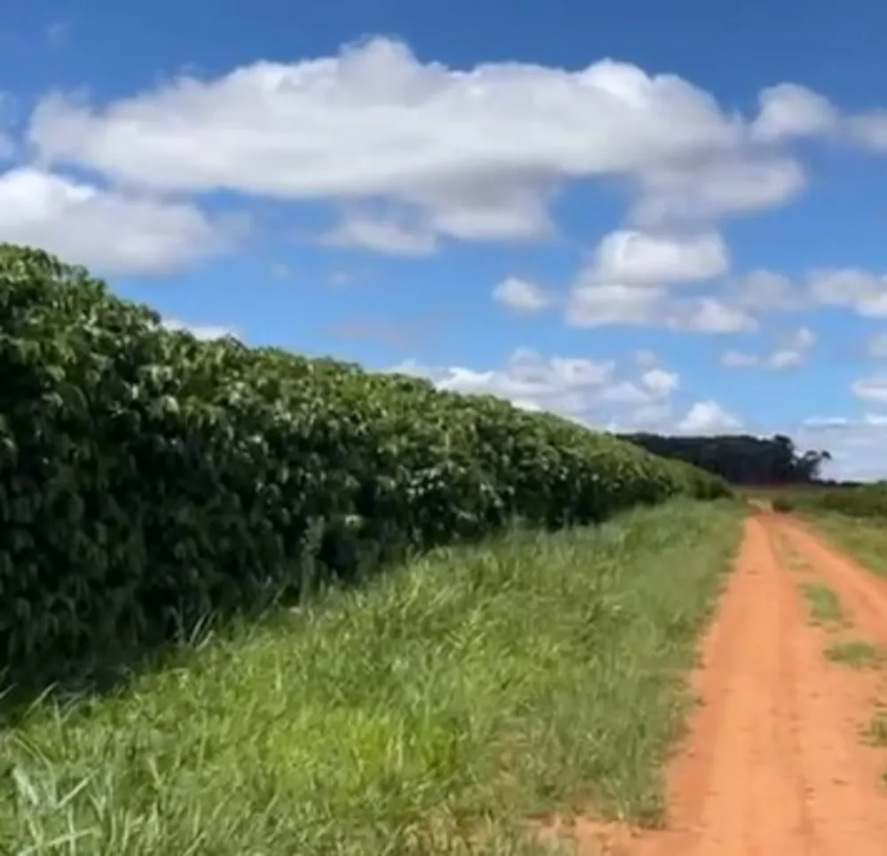 Fazenda, 730 m² - Foto 5