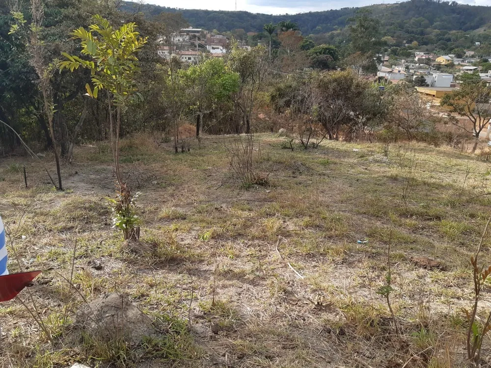 Terreno, 1986 m² - Foto 8