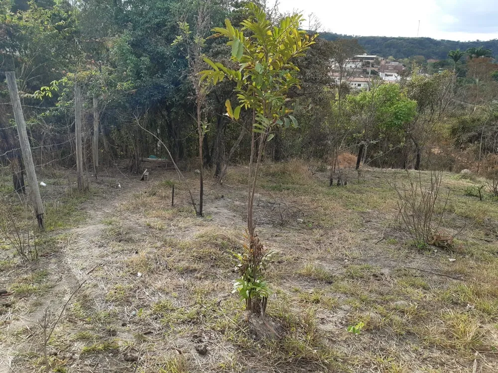 Terreno, 1986 m² - Foto 4
