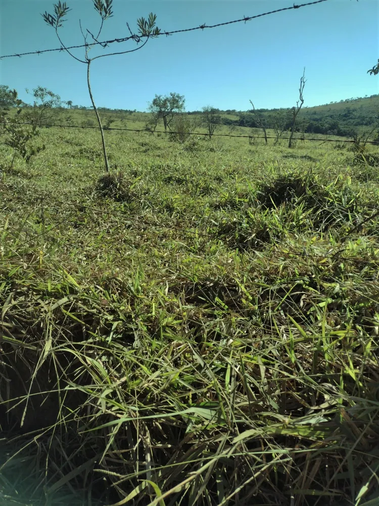 Fazenda, 1 quarto - Foto 8