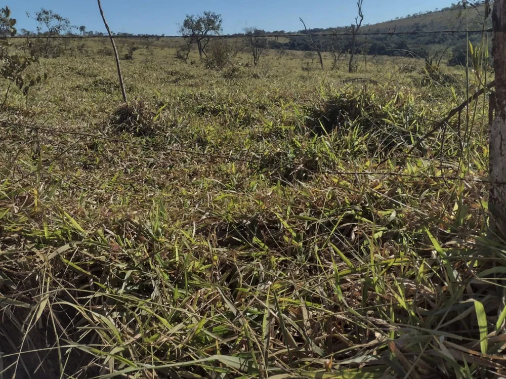 Fazenda, 1 quarto - Foto 5