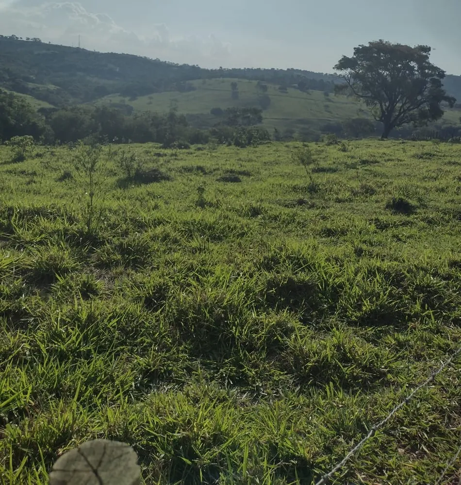 Fazenda, 1 quarto - Foto 4