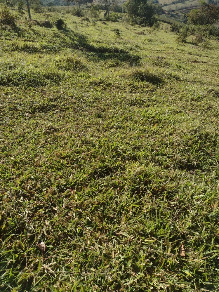 Fazenda, 1 quarto - Foto 6