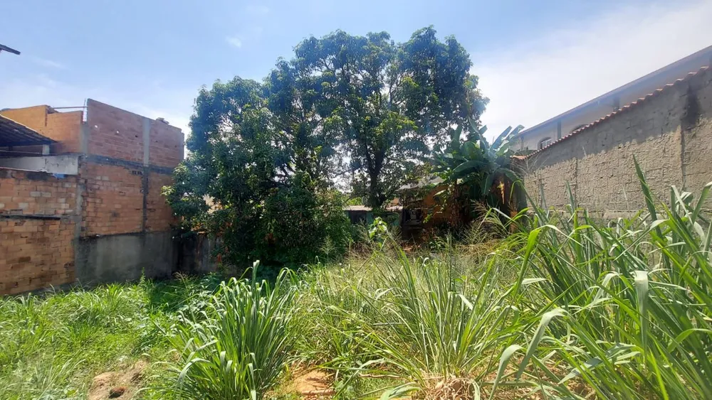 Terreno, 310 m² - Foto 6