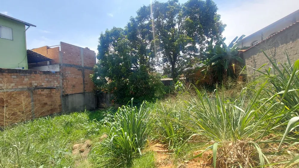Terreno, 310 m² - Foto 4