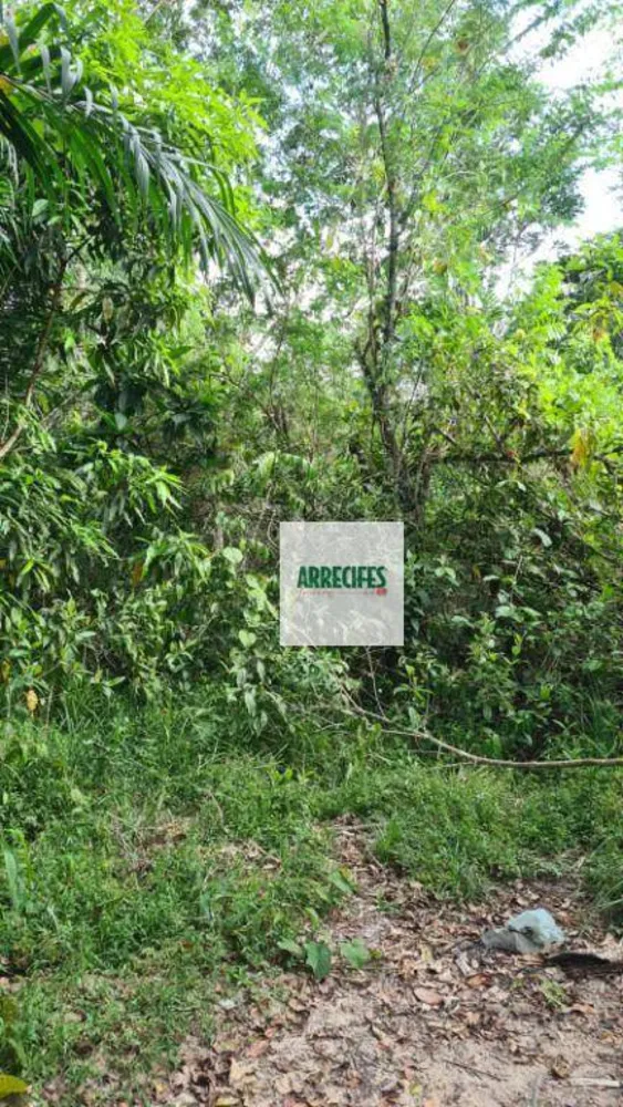 Terreno, 68000 m² - Foto 8