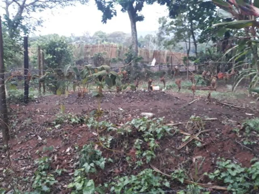 Chácara, 5 quartos, 5000 m² - Foto 11