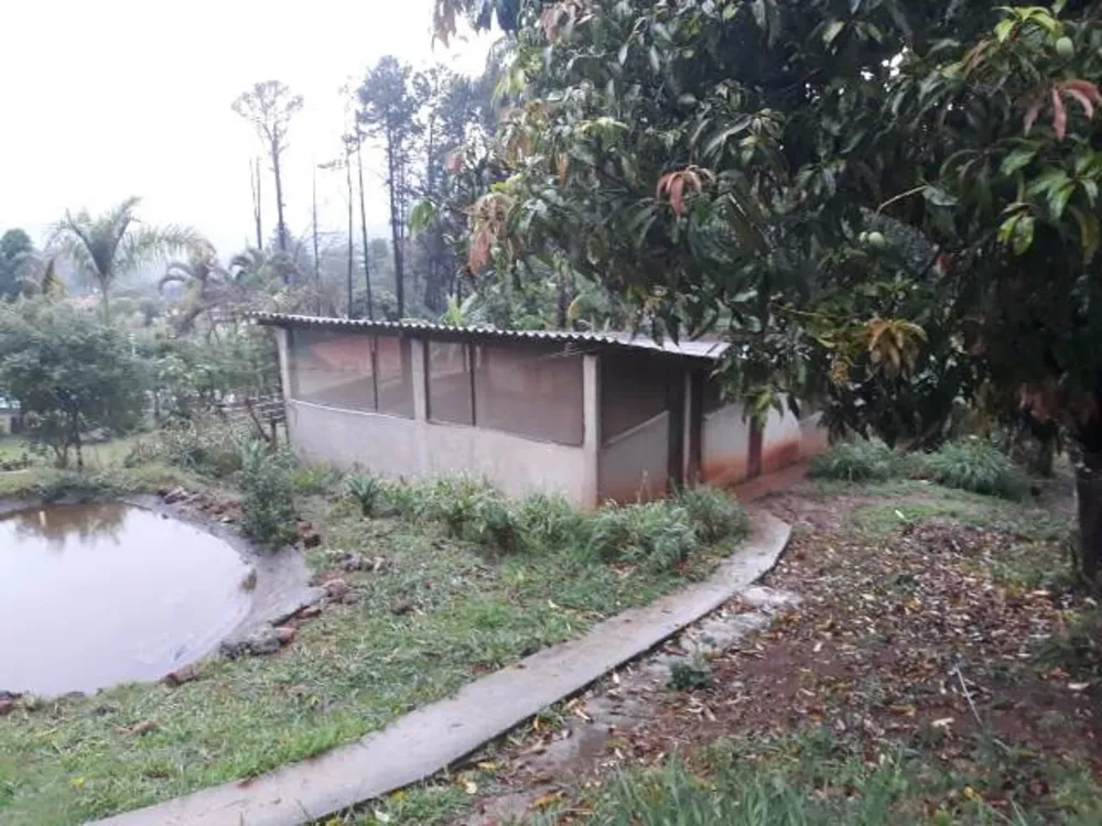 Chácara, 5 quartos, 5000 m² - Foto 7