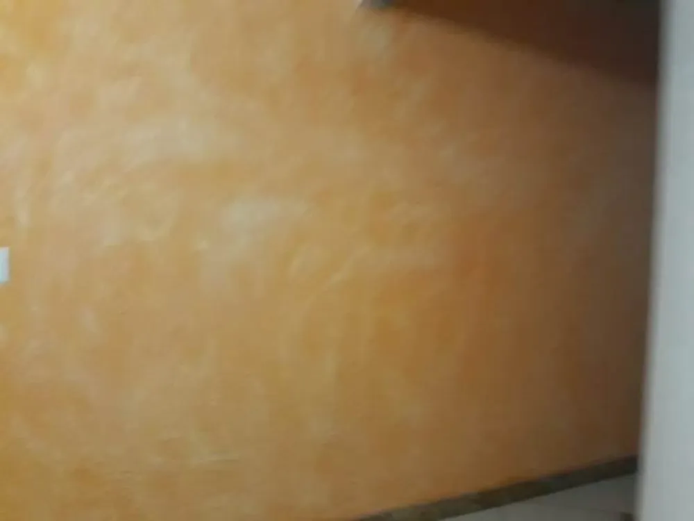 Chácara, 5 quartos, 5000 m² - Foto 5
