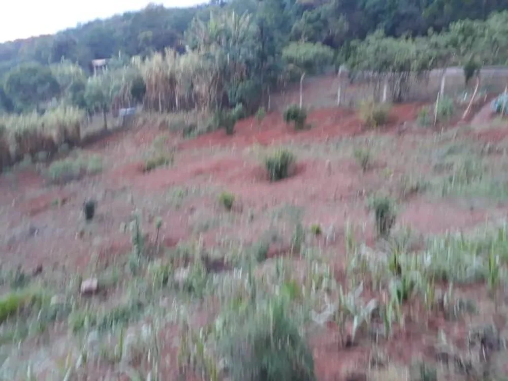 Sítio, 5 quartos, 5000 m² - Foto 16