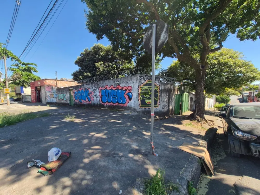 Casa, 3 quartos, 290 m² - Foto 7
