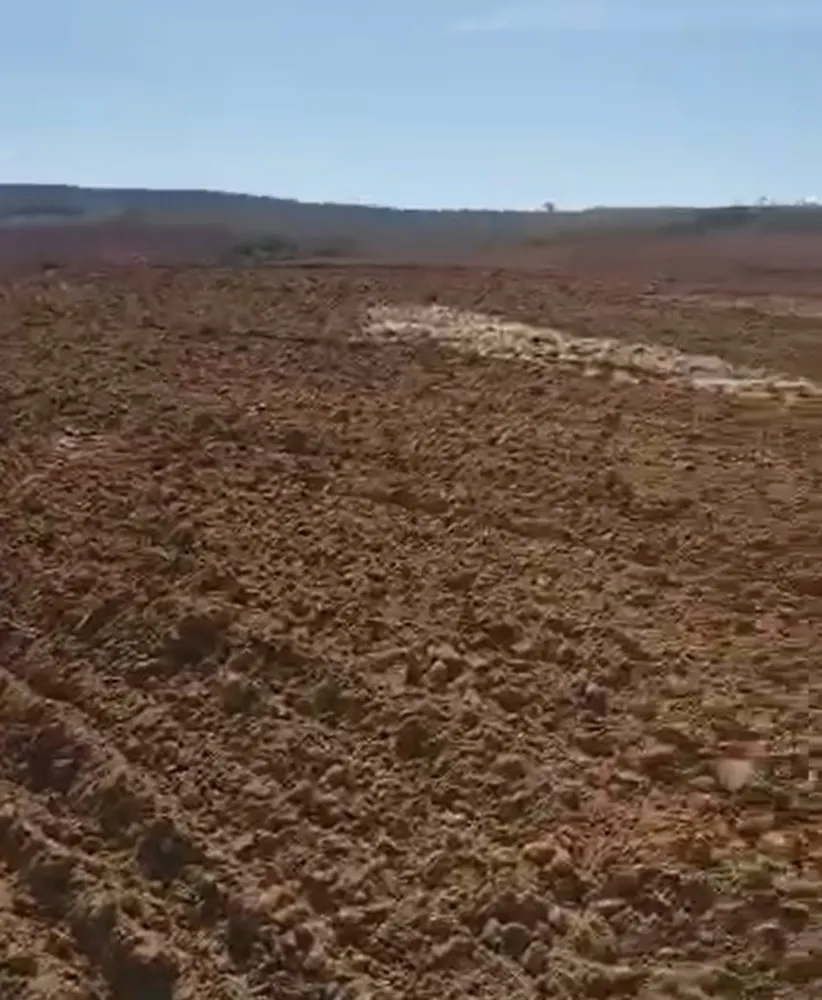 Fazenda, 167 hectares - Foto 4