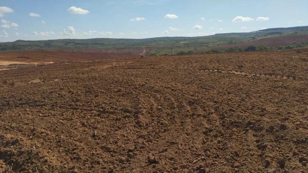 Fazenda, 167 hectares - Foto 2