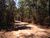 Fazenda, 1 quarto - Foto 4
