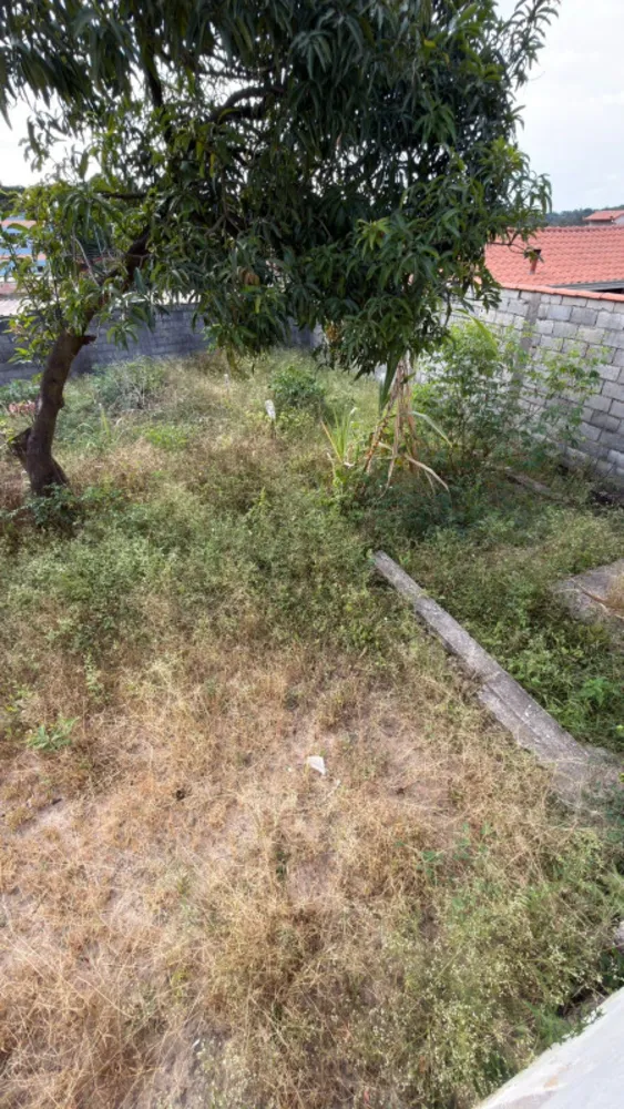 Casa, 3 quartos, 360 m² - Foto 11