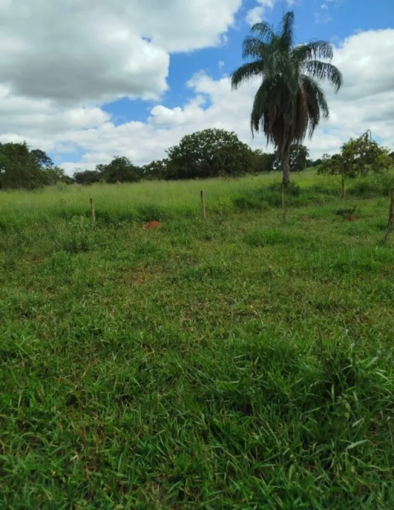 Fazenda, 168 hectares - Foto 7