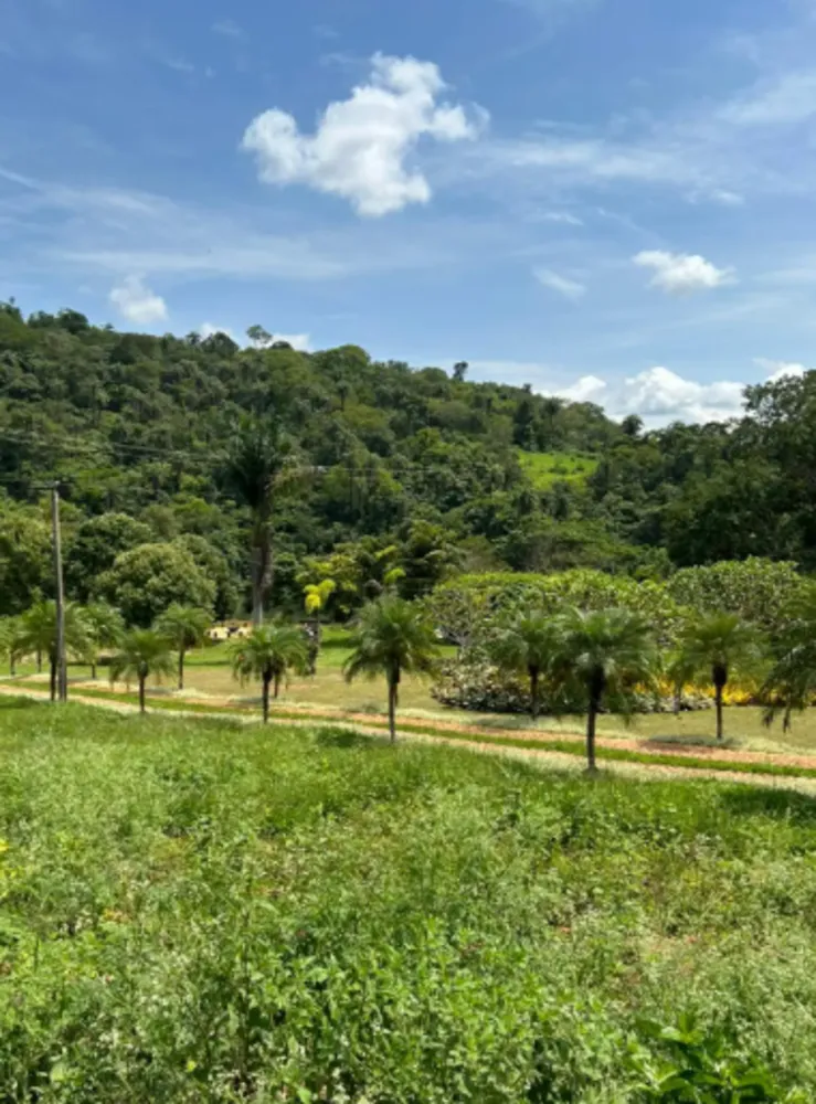 Chácara, 1 quarto, 3 hectares - Foto 2