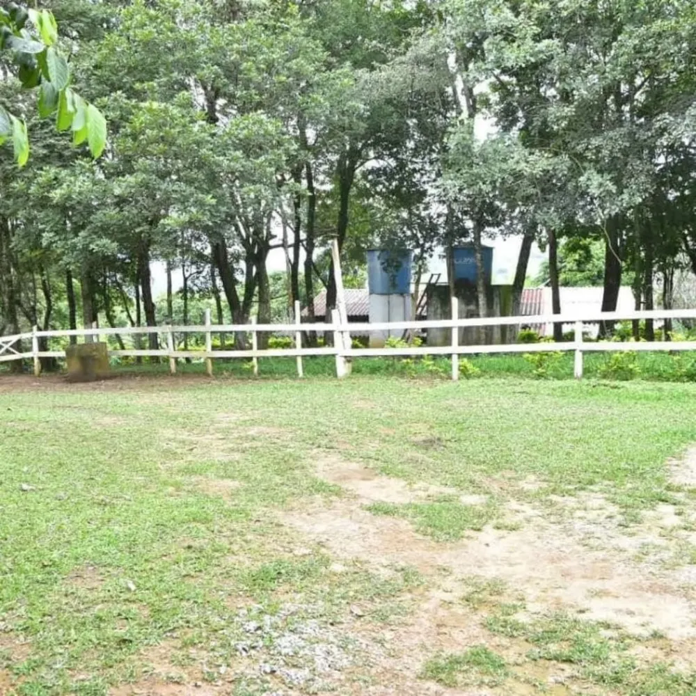 Chácara, 3 quartos, 3 hectares - Foto 3