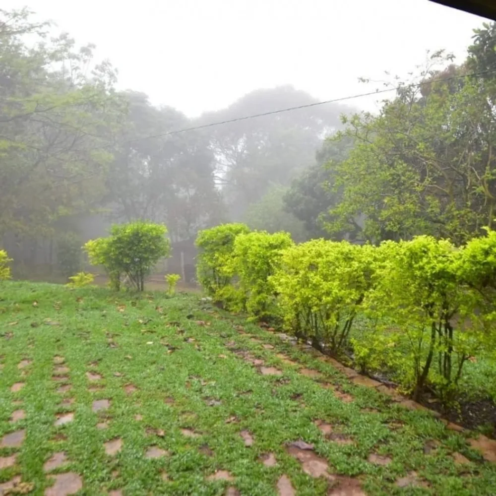 Chácara, 3 quartos, 3 hectares - Foto 6