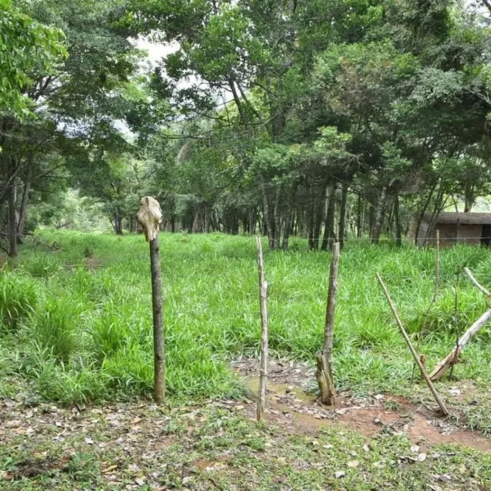 Chácara, 3 quartos, 3 hectares - Foto 1