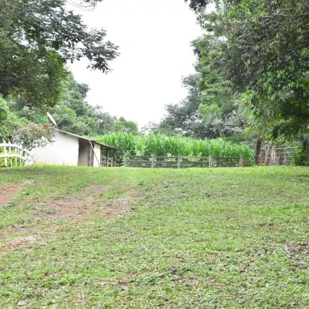 Chácara, 3 quartos, 3 hectares - Foto 2