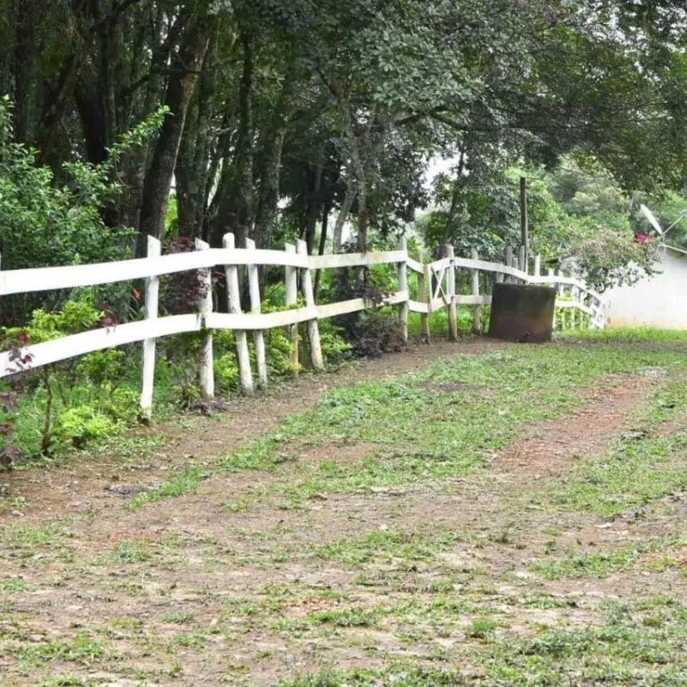 Chácara, 3 quartos, 3 hectares - Foto 4