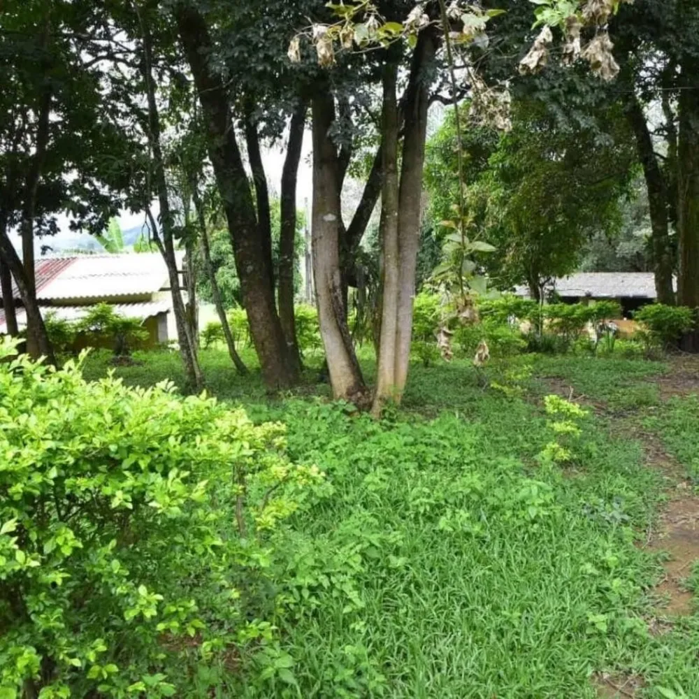 Sítio, 3 quartos, 3 hectares - Foto 4