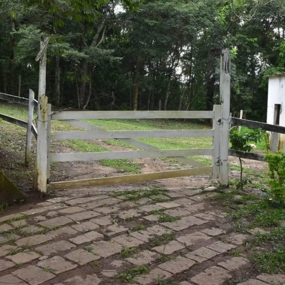 Sítio, 3 quartos, 3 hectares - Foto 8