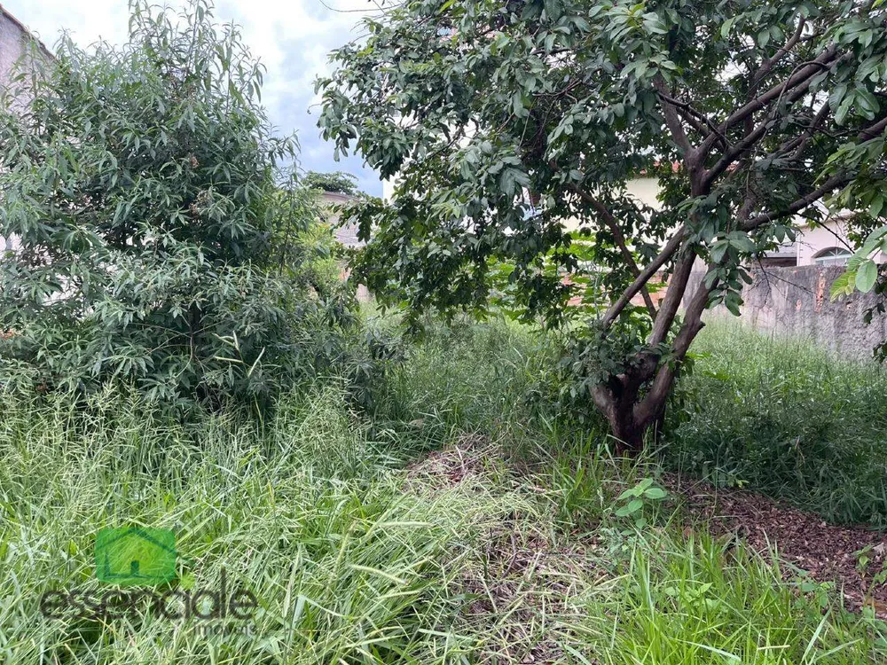 Terreno, 360 m² - Foto 3