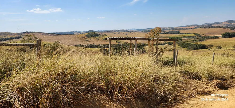 Fazenda, 600 hectares - Foto 3