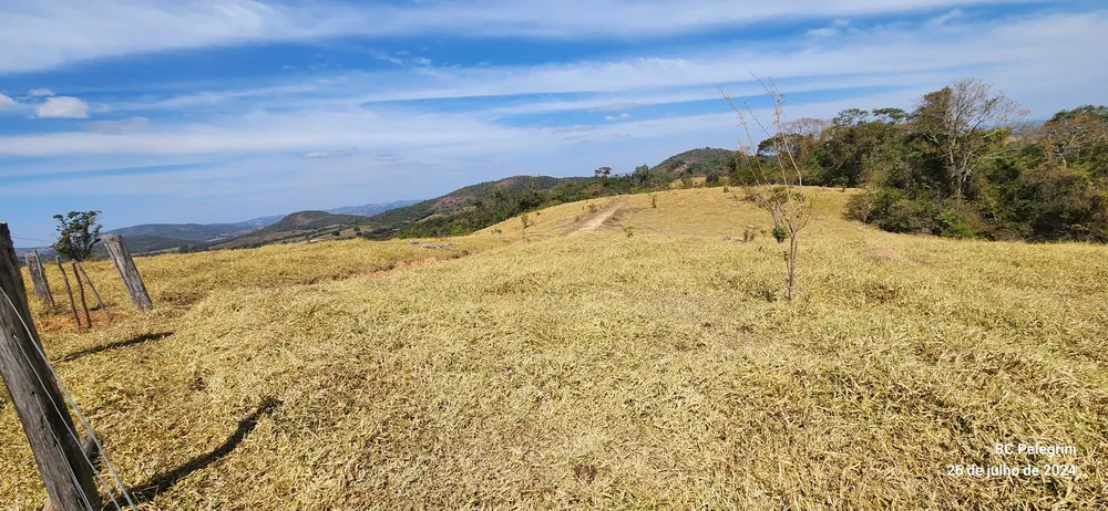 Fazenda, 600 hectares - Foto 4