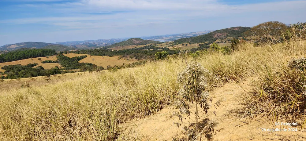 Fazenda, 600 hectares - Foto 2