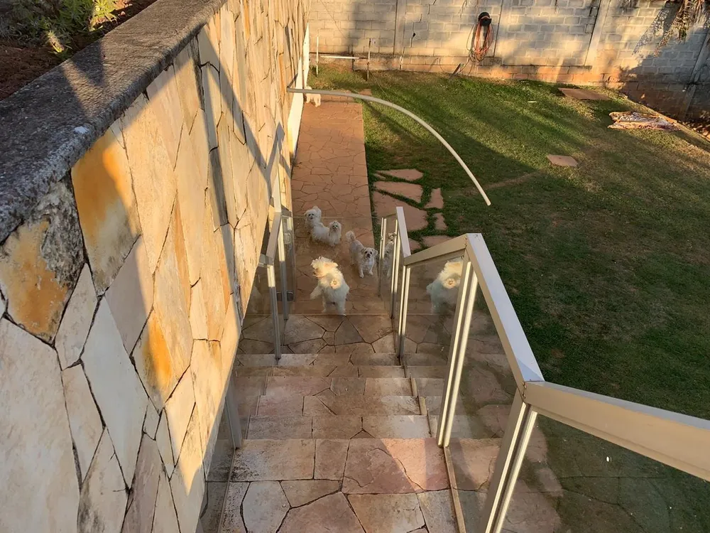 Casa, 5 quartos, 525 m² - Foto 11