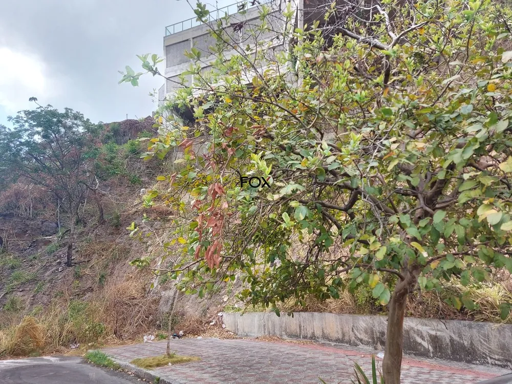 Terreno, 384 m² - Foto 5